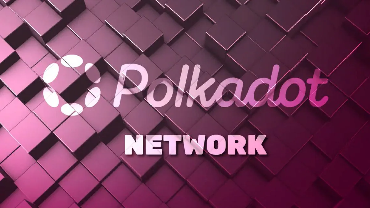 Polkadot Network